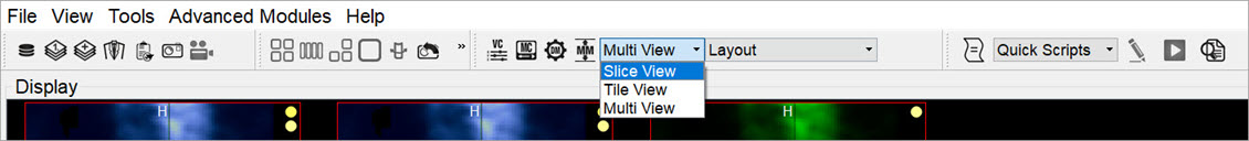 Viewing Modes